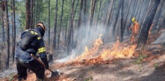 incendios forestales en Honduras