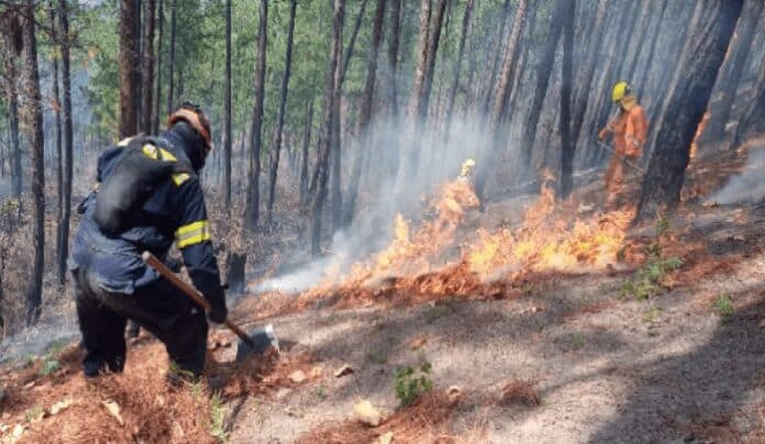 Incendios en Honduras 2024