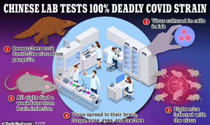 chinos crean cepa de coronavirus